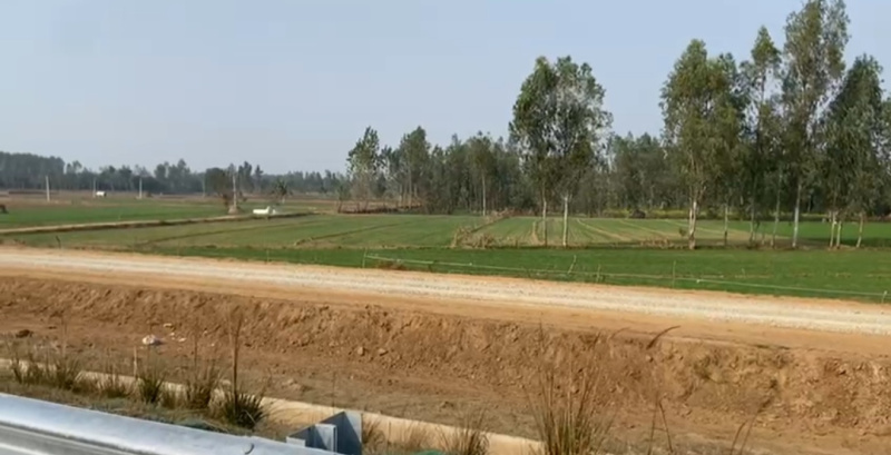  Agricultural Land 70 Bigha for Sale in Hasanpur, Amroha