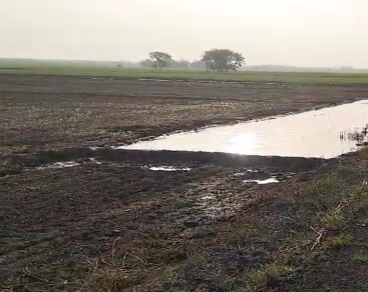  Agricultural Land 24 Bigha for Sale in Garhmukteshwar, Hapur