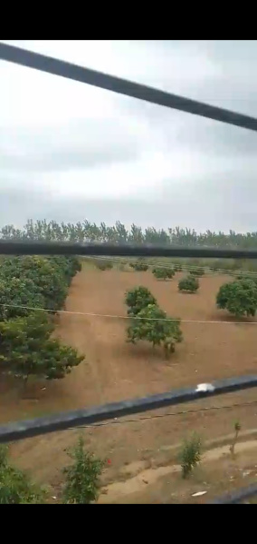  1100 Sq.ft. Agricultural/Farm Land for Sale in Mawana, Meerut