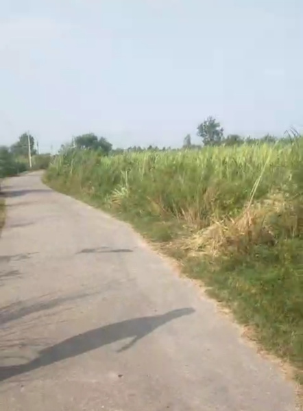  19 Bigha Agricultural/Farm Land for Sale in Garhmukteshwar, Hapur