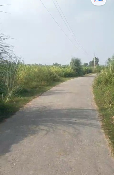  19 Bigha Agricultural/Farm Land for Sale in Garhmukteshwar, Hapur