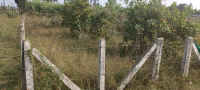 Residential Plot for Sale in Jangareddygudem, West Godavari
