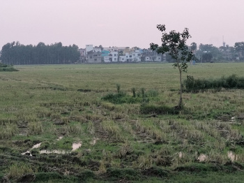  Residential Plot for Sale in Bolpur Road, Bardhaman