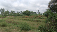  Agricultural Land for Sale in Bannur Road, Mysore