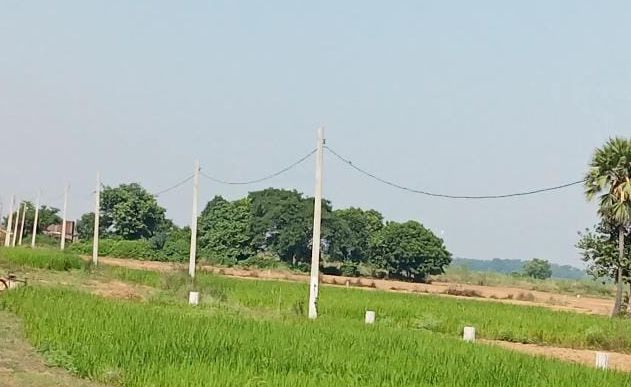  Residential Plot 1200 Sq.ft. for Sale in Bihta, Patna