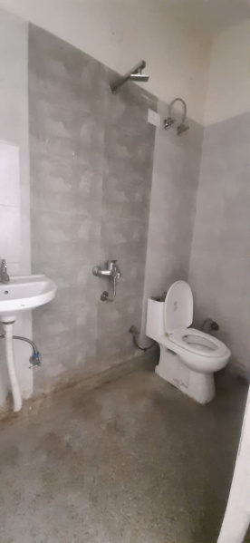 1 BHK 450 Sq.ft. Builder Floor for Rent in Chattarpur, Delhi