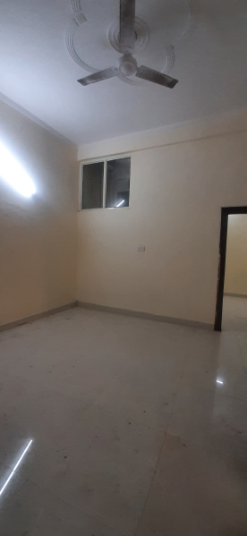 1 BHK 450 Sq.ft. Builder Floor for Rent in Chattarpur, Delhi