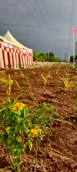  600 Sq.ft. Residential Plot for Sale in Navalurkottapattu, Tiruchirappalli