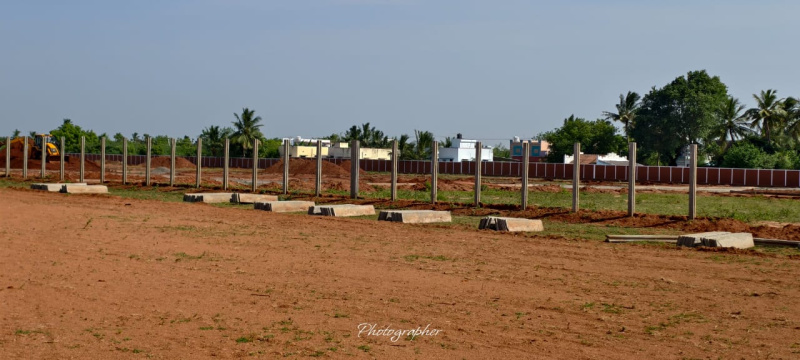  1201 Sq.ft. Residential Plot for Sale in Panjapur, Tiruchirappalli