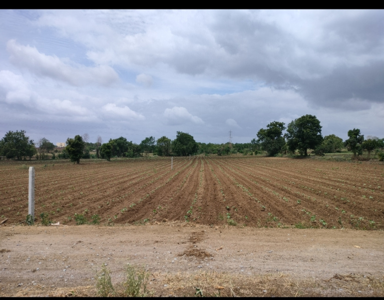  Residential Plot 1 Acre for Sale in Chevella, Rangareddy
