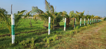  Agricultural Land for Sale in Perumbakkam, Kanchipuram