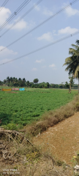  Agricultural Land for Sale in Maiyur, Chengalpattu