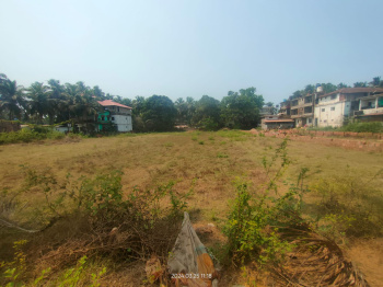  Agricultural Land for Rent in Morjim, Goa