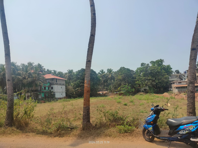 Agricultural Land 850 Sq. Meter for Rent in Morjim, Goa