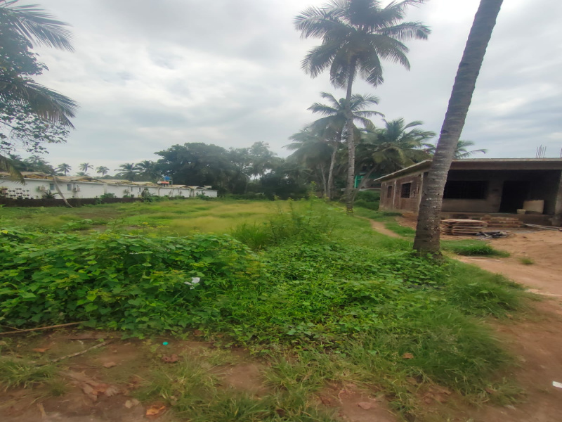  Agricultural Land 650 Sq. Meter for Rent in Morjim, Goa