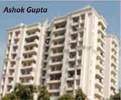 3 BHK Flat for Sale in Charmswood Village, Faridabad