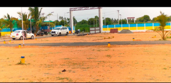  Residential Plot for Sale in Thiruvellarai, Tiruchirappalli