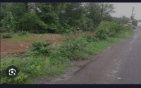  Residential Plot for Sale in Gobardanga, North 24 Parganas