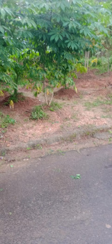  Residential Plot for Sale in Mamangalam, Edappally, Ernakulam