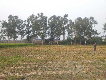  Agricultural Land for Sale in Ambala Bypass, Rajpura