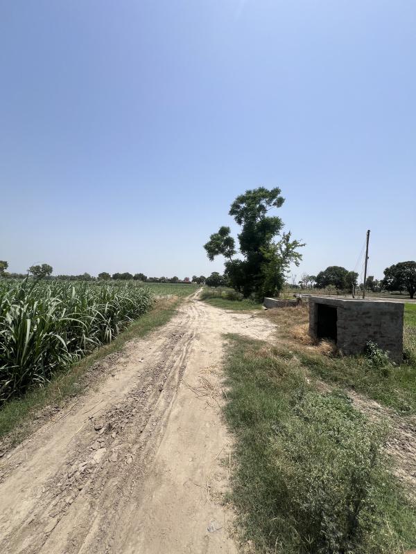 1.5 BHK Farm House 16 Acre for Sale in Bapoli, Panipat