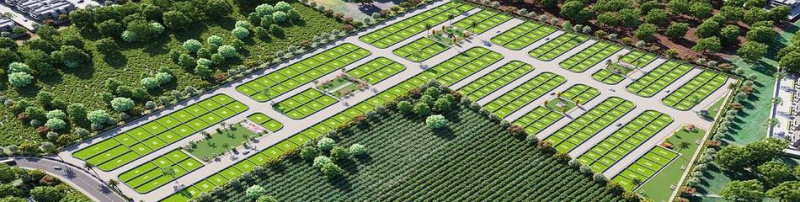  230 Sq. Yards Residential Plot for Sale in Dholera, Ahmedabad