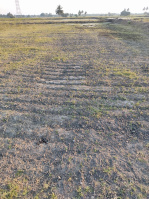  Industrial Land for Rent in Kanchipuram, 