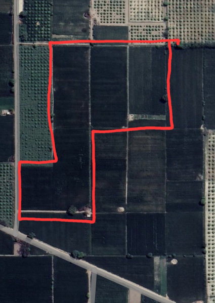  Agricultural Land 9 Acre for Sale in Abohar, Fazilka
