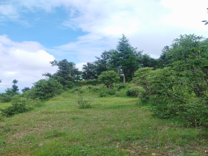 Lamgara, Almora photo 3