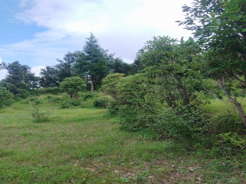 Lamgara, Almora photo 4