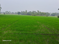  Agricultural Land for Sale in Sidhauli, Sitapur