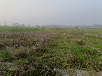  Residential Plot for Sale in Doiwala, Dehradun