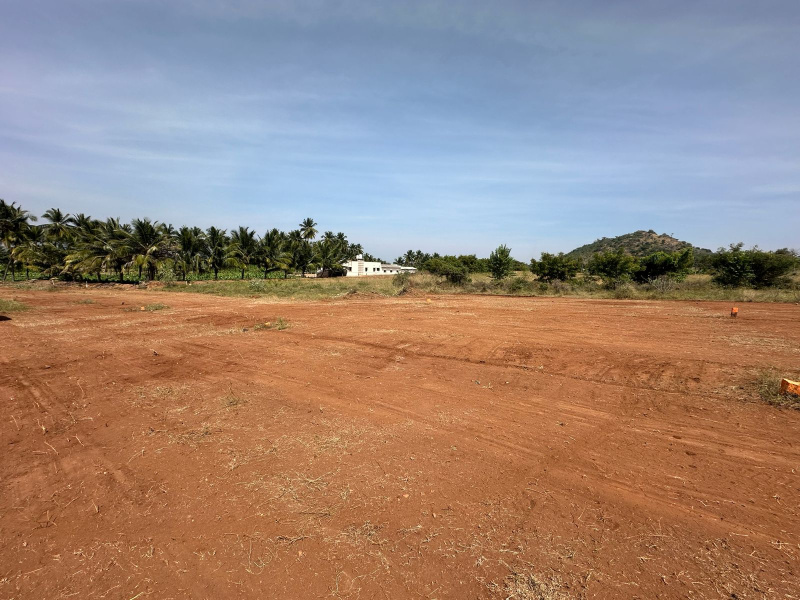  Residential Plot 100 Cent for Sale in Annur, Coimbatore