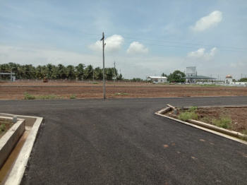  Residential Plot for Sale in Pappampatti, Coimbatore