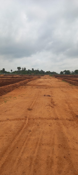  Agricultural Land 4 Acre for Sale in Neelambor, Coimbatore