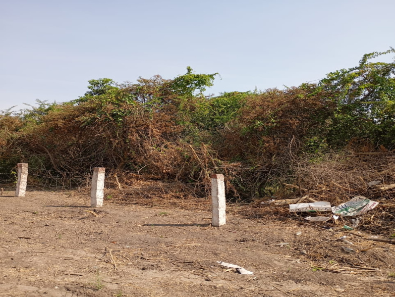  Residential Plot 14 Cent for Sale in Palladam, Tirupur