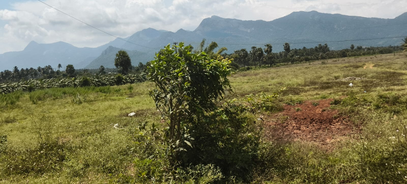  Agricultural Land 34 Acre for Sale in Navakkarai, Coimbatore