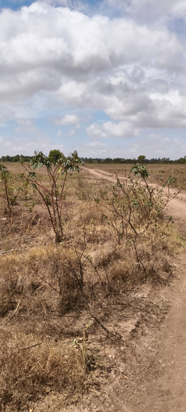  Agricultural Land 22 Acre for Sale in Sulur, Coimbatore