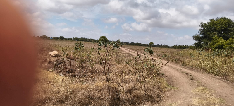  Agricultural Land 22 Acre for Sale in Sulur, Coimbatore