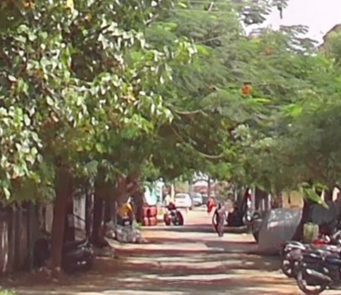  Residential Plot 4242 Sq.ft. for Sale in Selvapuram, Coimbatore