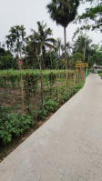  Residential Plot for Sale in Baruipur, South 24 Parganas
