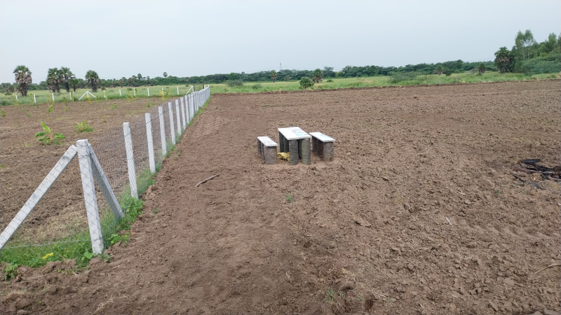  Agricultural Land 89000 Sq.ft. for Sale in Gst Road, Chennai