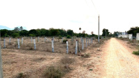  Residential Plot for Sale in Avilala, Tirupati