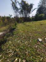  Residential Plot for Sale in Berachah, Palampur