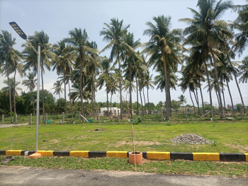  Residential Plot for Sale in Pollachi, Coimbatore