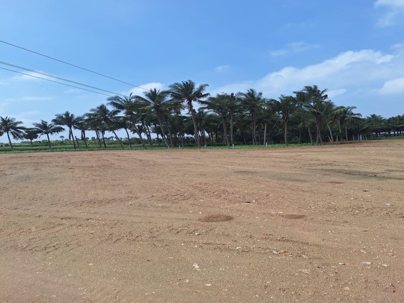  Residential Plot 9150 Sq.ft. for Sale in Chettipalayam, Coimbatore