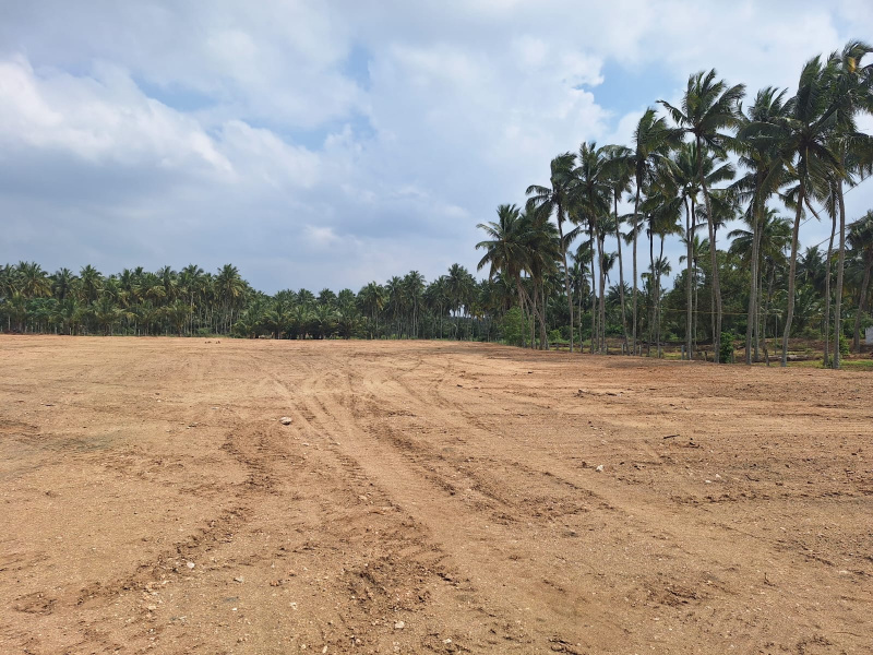  Residential Plot 9150 Sq.ft. for Sale in Chettipalayam, Coimbatore