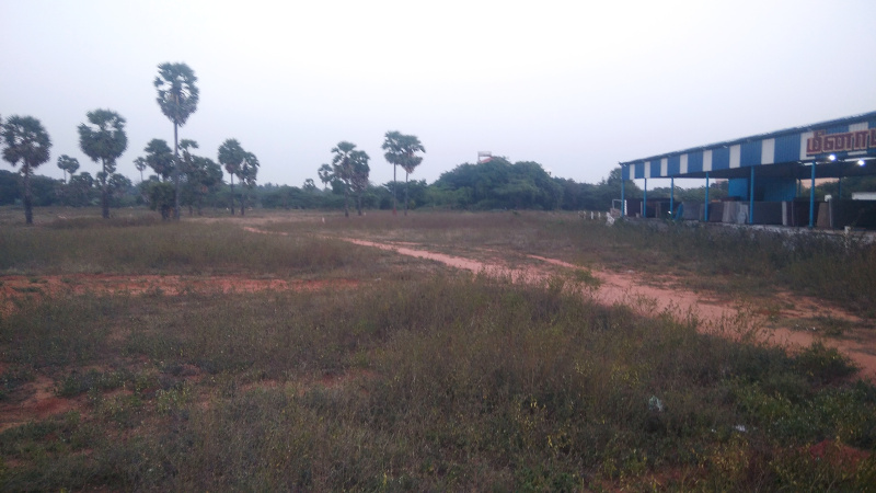 280 Cent Residential Plot for Sale in Nattarmangalam, Madurai