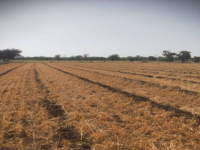  Agricultural Land 7 Katha for Sale in BHAGALPUR BLOCK, Deoria