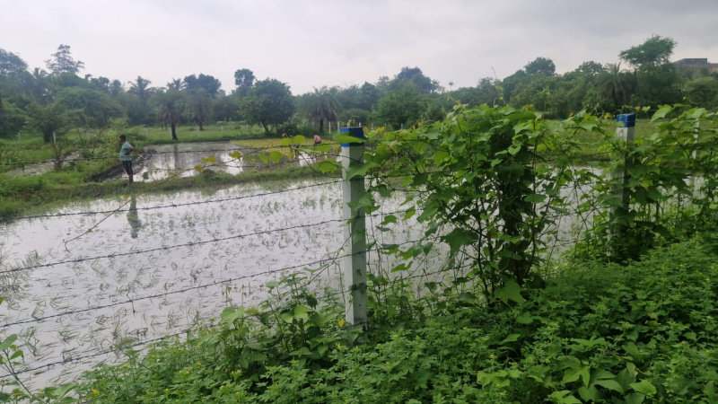  Agricultural Land 21 Guntha for Sale in Umbergaon, Valsad